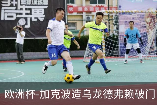 欧洲杯-加克波造乌龙德弗赖破门 荷兰2-1土耳其