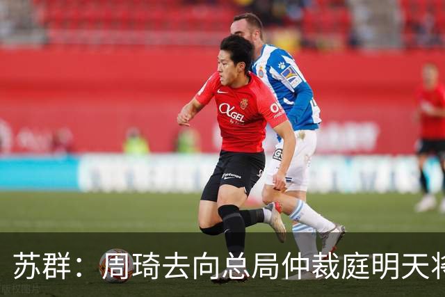 苏群：周琦去向总局仲裁庭明天将会给出结论