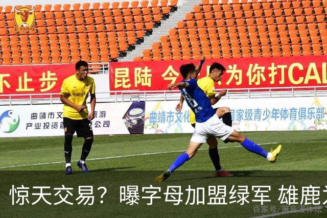 惊天交易？曝字母加盟绿军 雄鹿为布朗寻找第三方